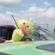 Image for article titled X Games Austin Preview: Put A Bird On It